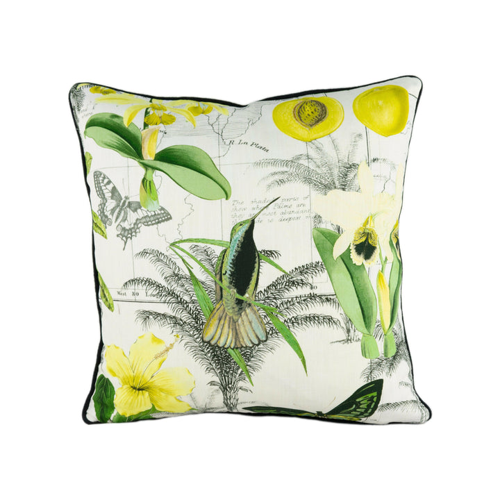 GP & J Baker  - Orinoco - Citrus - Stunning Contrast Piped Designer Cushion Cover Home Décor Throw Pillow.