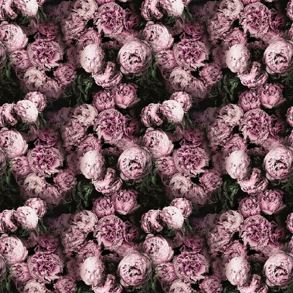 Designers Guild - Vespertina - Blossom - Stunning Contrast Piped Cushion Cover Throw Pillow Designer Home Decor.