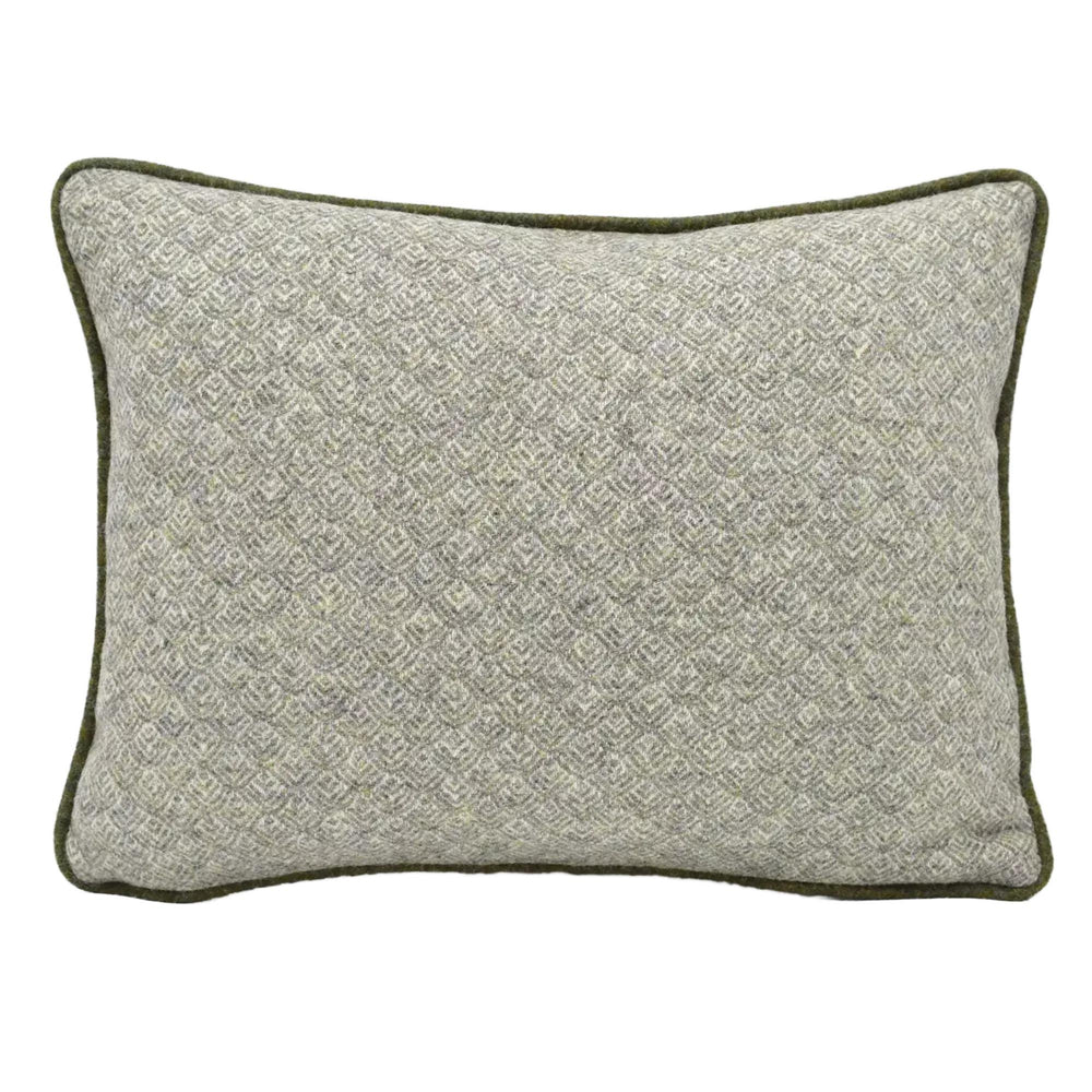 A gray and green patterned throw pillow with a green border.