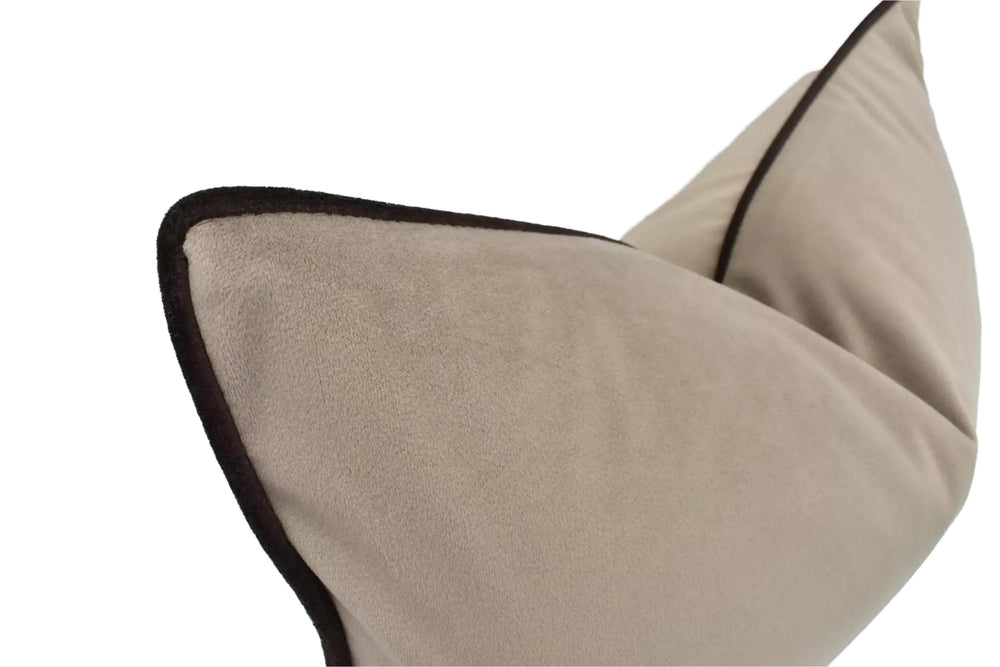 A close-up view of a beige velvet pillow with a black border.